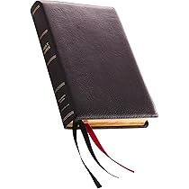 71+Mk13BgXL._AC_UL210_SR210,